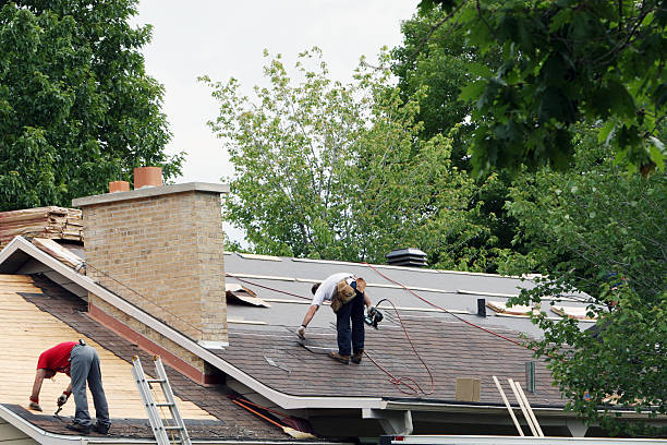 Best Roof Ventilation Installation  in Church Point, LA